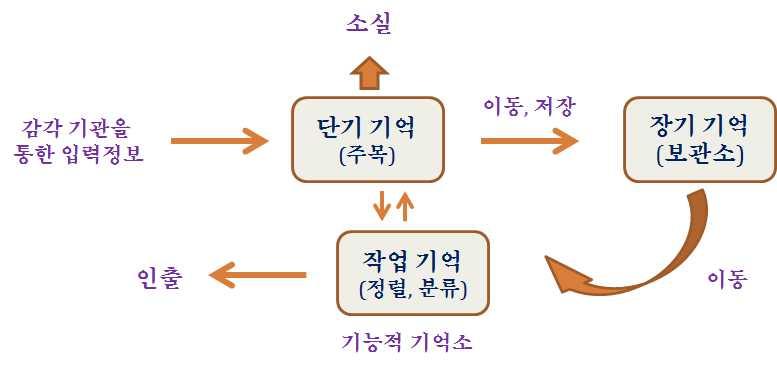 는기억. ( 예 : 수첩에있는전화번호를기억해서전화를거는것 ) Ÿ 장기기억 (long-term memory) : 오랜시간유지되는기억으로, 저장소내에쌓여있는파일. 접근경로의훼손혹은다른정보와의혼란등으로유실되기도함. Ÿ 작업기억 (working memory): Baddeley(1974, 2000) 의이론.