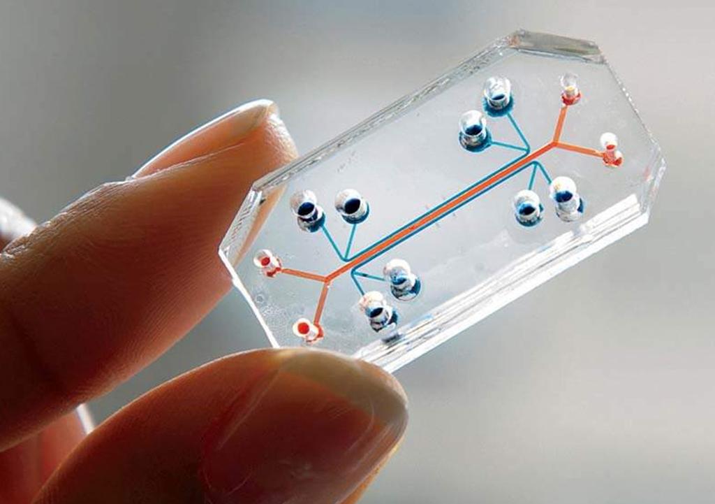 다보스포럼선정 10 대유망기술 06 인체장기칩 (Organs-on-chips) 그림 5.