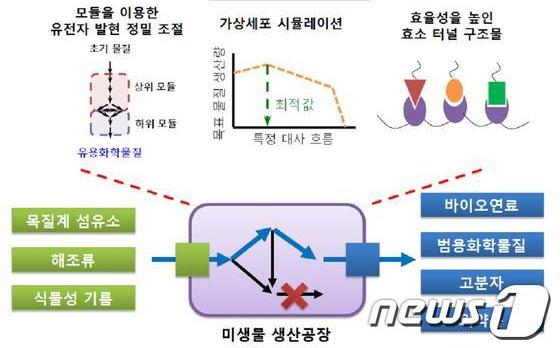 생체조직또는자유롭게움직이는동물에서개별신경세포들의활동을조절및관찰하고신경활동의 조절이어떠한효과를유발하는지실시간확인가능 최근에는빛을뇌조직깊숙이전달할수있는기술이개발되어뇌장애 질환을가진사람들에게더욱효과적인