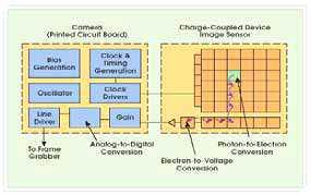 전략제품현황분석 카메라에있는기계형셔터의필요성을없앤픽셀단위의전자셔터를통합 최근의 CCD는촬상용으로최적화된커스터마이징반도체공정을사용해제작되는데, 외부회로를통해아날로그출력전압을추후공정에필요한디지털신호로전환 일반적으로 CCD는효율적인전자셔터기능, 광범위한동적인범위및일관되게우수한이미지를제공한다는특징을보유 자료 : ( 주 ) 플래닛 82 [ CCD 이미지센서 ]