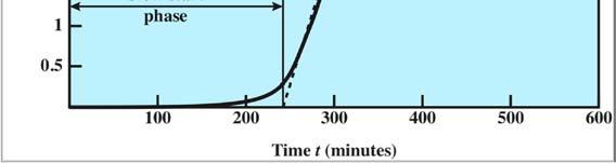 17 18 Worm Propagation Model Slow start phase Fast spread sphase Slow finish phase 1.0 0.