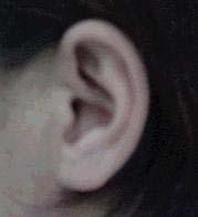 귀모양 Ear