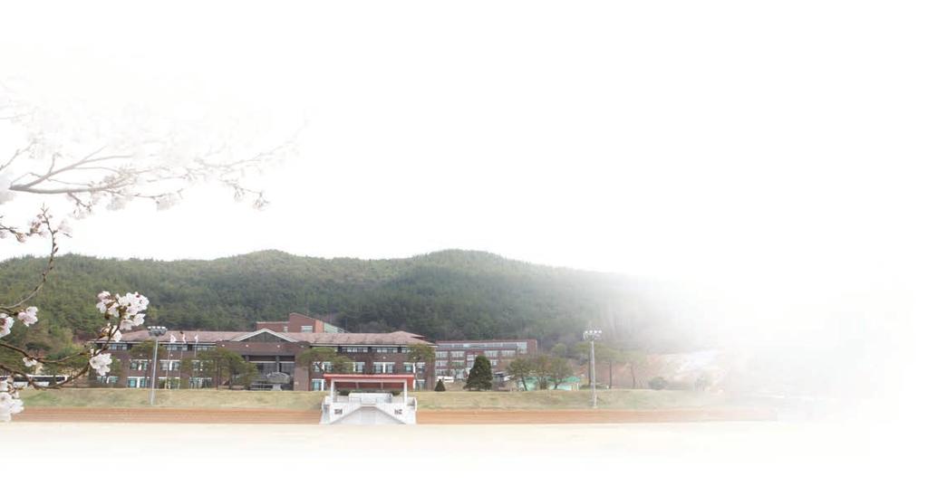 충남도립대학교 2018 학년도수시 정시신입생모집요강 24 02 모집인원 1.