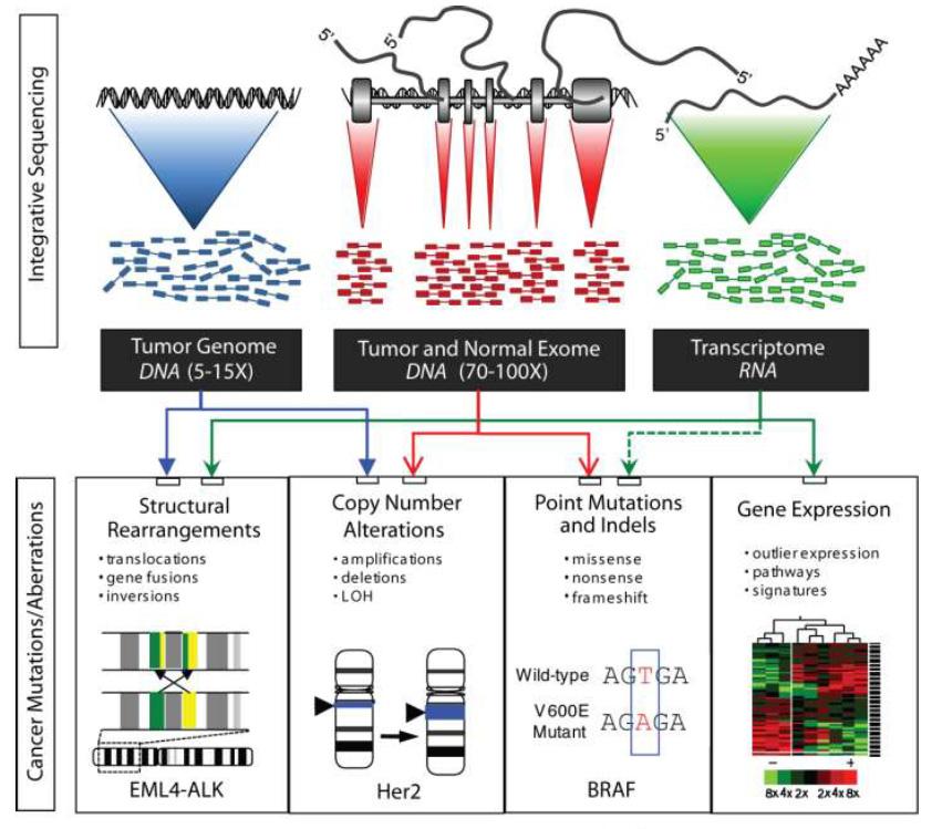 80 개인유전체기반맞춤의료의현황과발전과제 Mi-Oncoseq 프로젝트에서는전장유전체분석 (whole genome sequenicng), 표적엑솜분석 (targeted exome sequenicng), 전사체분석 (transcriptome sequencing) 을모두포함하는통합시퀀싱 (integrated sequencing) 을지향한다