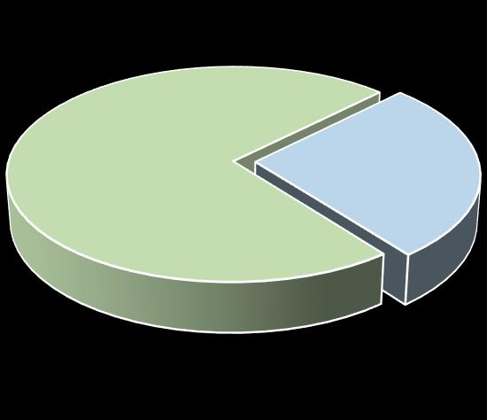 매출액구성비율 2016.4Q 누계 기타 24.8% * 기타 : Bulk, Vessel 솔루션등 해외 73% 국내 27% 물류 4.