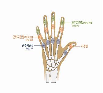 이하인경우를말한다. 8) 한손가락에장해가생기고다른손가락에장해가발생한경우, 지급률은각각적용하여합산한다.