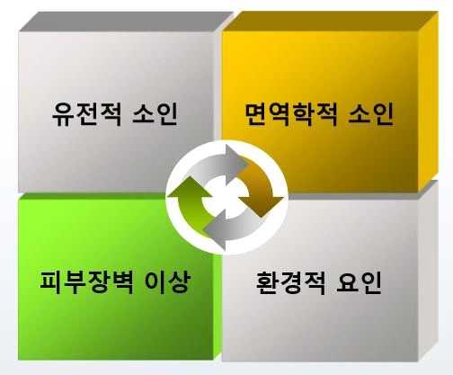 화장품 아토피화장품 (1) 제품분류관점 아토피질환은다양한요인과악화인자들에의하여복합적으로발생 전략제품제품분류관점세부기술 아토피화장품 유전적요인 면역학적요인 [ 제품분류관점기술범위 ] 아토피피부염환자의 70-80% 가아토피질환의가족력이있음 - 부모한쪽이아토피피부염인경우 : 자녀의 50-60% 가아토피피부염발생 - 부모모두가아토피피부염인경우 : 자녀의 80%