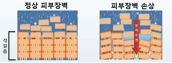 전략제품현황분석 4. 기술환경분석 가.