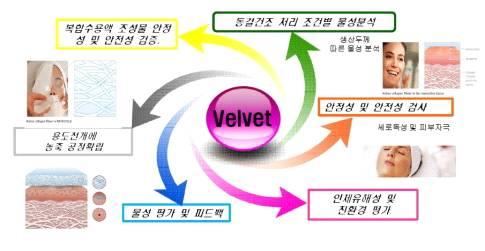 전략제품현황분석 다.