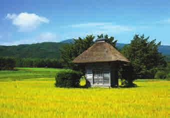 논은황금색으로빛나고밭, 그리고산도 ' 결실의가을 ' 을맞이합니다.