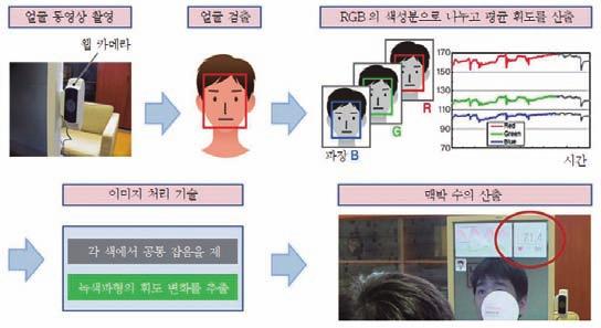 비접촉방식으로심박 맥박을측정하기위해현재개발중인기술은 LED 센서, 화상처리, 가속도센서, 전파, 광섬유등다섯가지로분류된다. LED 센서를이용한심장박동과맥박측정은도요타자동차에서도입하여개발이진행되고있다.