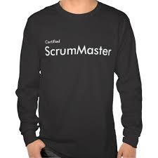 Scrum Master 서번트리더로서개발팀이생산적이고가치있는일을할수있도록최대한지원하는역할