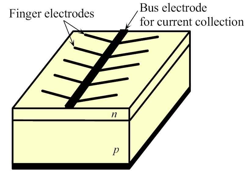 직렬저항이효율에미치는영향 Finger electrodes on the surface