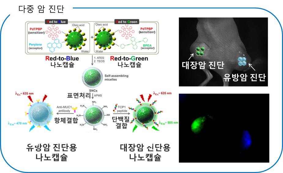 2018년도 2차 국가과학기술연구회 소관 정부출연연구기관 기관평가보고서 참고 (임무중심형 종합평가) Upconversion 나노입자 이용 암 진단 응용 및 태양에너지 수확기술 개발 에너지상향 기반 나노캡슐을 활용한 다중 암 진단 기술 개발 대장암 및 유방암이 동시에 발현된