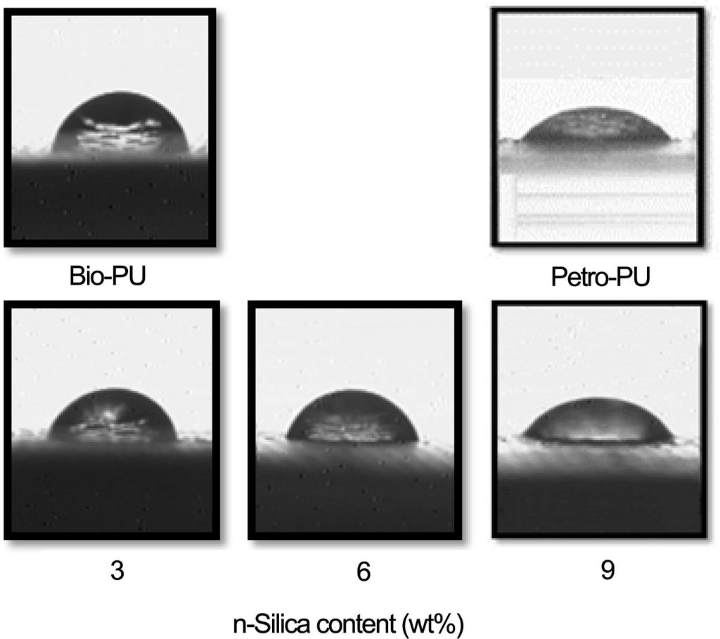 Nano-SiO 2 복합에의한바이오매스기반폴리우레탄무공형멤브레인필름의투습성향상에관한연구 77 Figure 9. Change of water contact angles as a function of silica content in Bio-PU films. Figure 7.