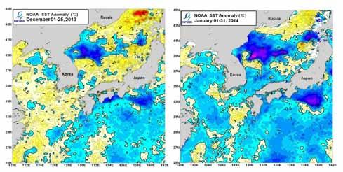 [ 그림 6-2] 2013 년 12 월및 2014 년 1 월우리나라주변해역표면수온평년편차분포 ( 출처 : 국립수산과학원원격탐사실 ) >>>