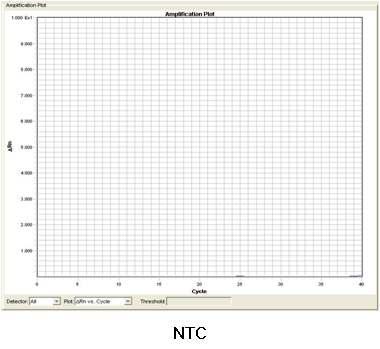 ( 나 ) RT-PCR 결과 ( 그림 3.3.34) 그림 3.3.34 고등어 RT-PCR amplification plot (4) 조피볼락 ( 가 ) RT-PCR 조성및조건 ( 표 3.3.38~3.