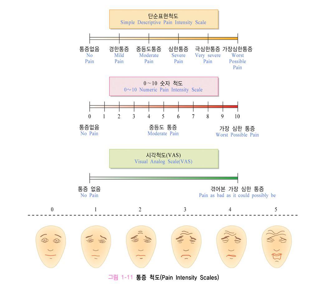 3. 통증사정