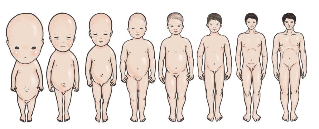 단계별성장발달단계별 ( 영아 ) 성장발달 신체발달 신체가급속하게성장하는시기 1. 신장 : 1 년간 50% 성장 (1 세때출생시 1.5 배의키 ) 2.