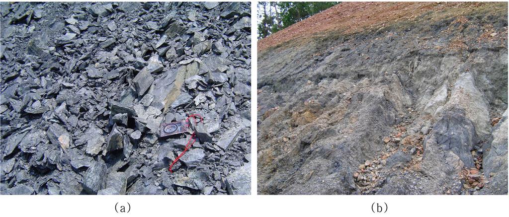 절토사면 현황도 작성 및 분석에 따른 설계변경 사례연구 139 Fig. 2. Dark grey blocky phyllite (a) and coaly slate(b) at the excavated slope. 사면 내지 터널에서는 여굴을 만드는 등의 공학적 문제 점을 일으키며.