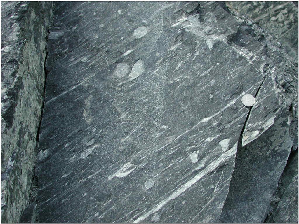 결정질 석회암은 주로 암회색 또는 회백색을 띠며 풍화 면은 부분적으로 충식상을 보여주기도 한다. 석회규산염 Fig. 3. Pebble-bearing phyllitic rock containing elongate pebble.