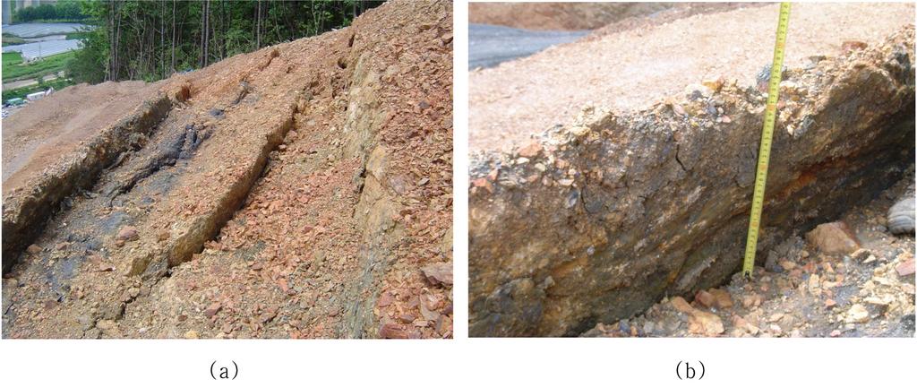 Photograph showing surface sliding at the top of the slope (a) and 3-4 examples of step