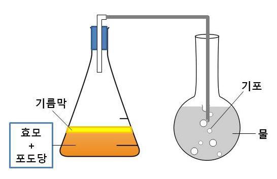 세포의생명활동과에너지 01 01-1 그림에서 와 에해당하는물질은각각 무엇인가? 01-2 C 는생물체의호흡을통해생태계밖으로나가 순환하지않는다. C 는무엇인가? 01-3 E 는탄수화물로서글리코젠, 셀룰로스등의 중합체를만드는데재료로사용된다. E 는무엇인가? 01-4 D 에해당하는물질 2 종류는각각무엇인가? 06 위그림은 TP 의분해를나타낸것이다.