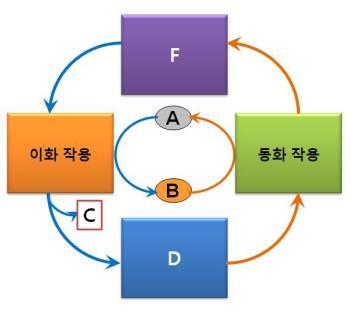 14 그림에서 는 이화 작용을 통해 로부터 만들어지는 반응 생성물이며 는다시 동화 작용을 일으키는데 이용된다. 와 는 각각 무엇인가? 15 C 는이화작용을통해 생성되는에너지의한종류이다. 화학에너지와는 다른형태이며동물세포에서주로발생하는이것은 무엇인가? 16 위그림에서 D 는이화작용의생성물이다. 포도당을 반응기질로사용했을때 D 에대한예로서옳지 않은것은?