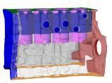 자동차경량화기술개발 DSMT R&D CENTER Ⅸ. 신규사업추진 1.