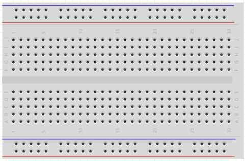 full/full+/half/half+