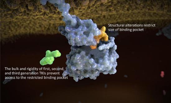 포지오티닙임상 2 상중간결과 45 30 15 0 S A,P Poziotinib Prior Therapy P = AP32788 S = ASP 8273 E = Erlotinib A = Afatinib E,A (15) (30) (45) (60) 자료 : 스펙트럼,