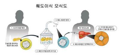 출처 : 한국일보 (2015.1.4.