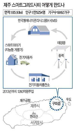 LS산전등의키플레이어들은적극적으로투자계획을발표하고있으며 KT, SK텔레콤같은 Telco 사업자와기타유관기업들도참여의사표명 ( 2009년