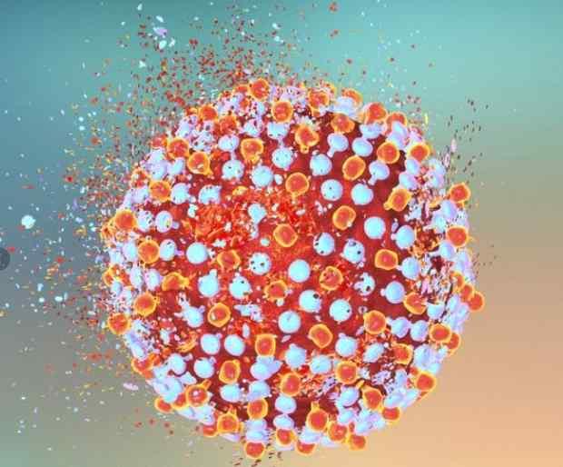 주간감염병소식지 (2018-37 주 ) C 형간염알아보기 (1/4) 2018. 9. 19. 기준 감염병분류 제 3 군감염병 내용 원인병원체 Hepatitis C virus - C 형간염바이러스는 6 개의유전자형과 70 여개이상의아형있음 - 바이러스돌연변이등으로유전적다양성이특징 - https://www.std-gov.