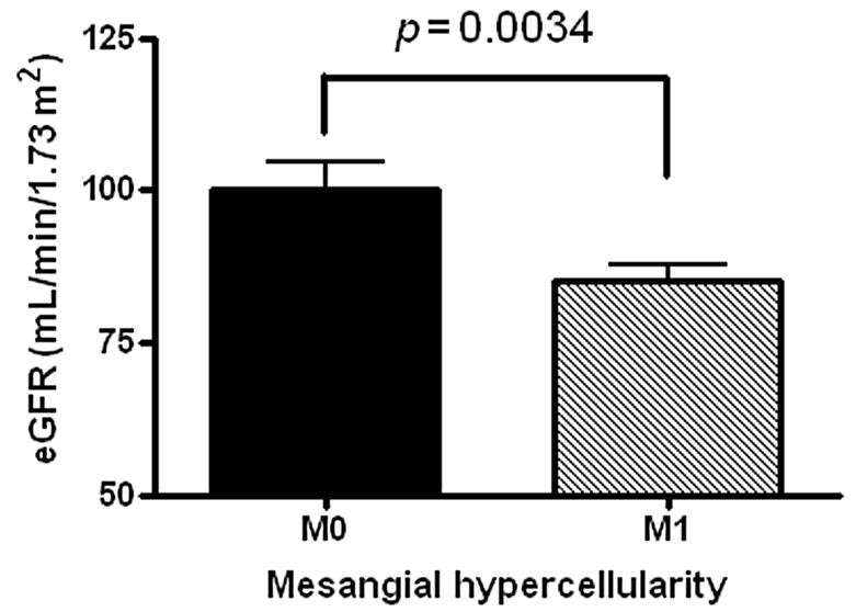 - The Korean Journal of Medicine: Vol. 88, No. 4, 2015 - A B C D a a Tubular atrophy/interstitial fibrosis Figure 2.