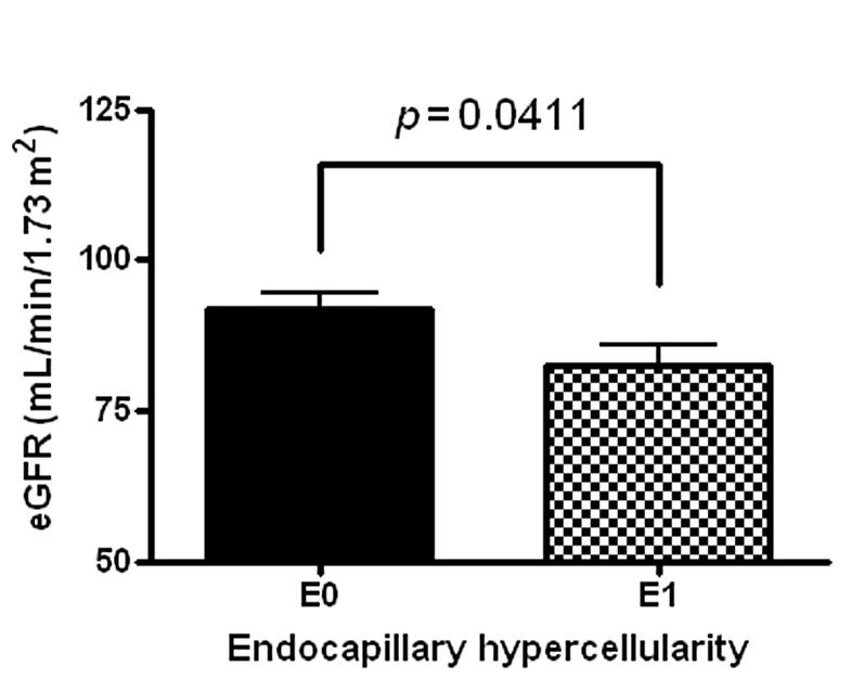 hypercellularity; T, tubular atrophy/interstitial fibrosis. a p < 0.05. Mon p < 0.001 Figure 3.