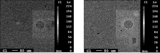 염소의표면처리에따른 IR 및 R Blend 의특성연구 753 (a) 100% IR (b) 90/10 IR/R Figure 4 에나타내었다. R 의함량이증가함에따라염소의 Intensity level 이상승하는것으로나타났다. 8 표면처리전, 후시편의표면상태를확인하기위하여시편의단면을광학현미경으로 1200배확대하여표면의상태를관찰하였다.