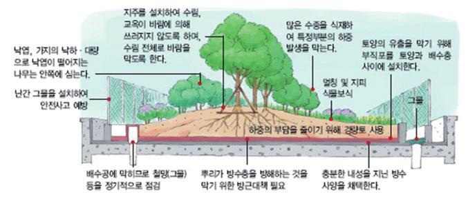 제로에너지빌딩을만드는기술패시브기술들 그외옥상녹화시고려해야할사항은아래그림과같음 [ 옥상녹화시고려해야할물리적측면 ] 출처 : 부산광역시도시농업정보 ➌