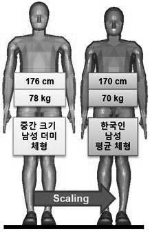 16 년도주요성과 - 아시안더미및관련상해기준 충돌안전성통합평가기술개발기획필요성및타당 성시 1 8 176 cm 78 kg 17 cm 7 kg P(AIS+) 6 4 중간크기남성더미체형 한국인남성평균체형 Scaling 두개골 두뇌 목 흉 복 척추 하지 Dummy 18 91 15 1 16 9 1 AsianAM5 18 58 14 99 16 14 1 < 그림 9>