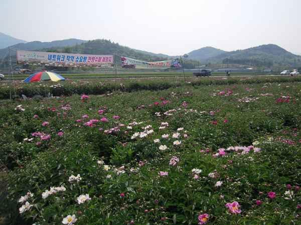 추진배경 장흥은서울광화문에서남쪽의끝에위치하여 정남진 이라는브랜드를개발하여사용하고있음.