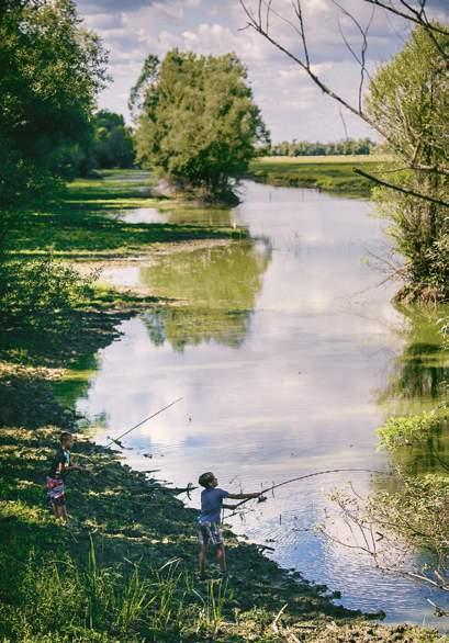 (lonjsko polje)