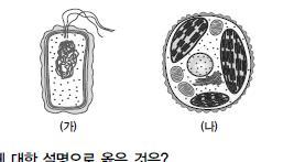 총괄 ⅠⅠ 고등과학미리보는학교시험문제범위 : Ⅲ. 진화 ( 가 ) 판게아형성 ( 나 ) 파충류번성 ( 다 ) 스트로마톨라이트출현 ( 라 ) 속씨식물에의한대초원형성 1 ( 가 ) 는진핵생물이고, ( 나 ) 는원핵생물이다.