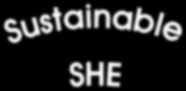 1. 솔루션개발방향 SHEInfoTrak 솔루션은국내외규제대응, SHE 업무관리역량강화및통합정보자원관리의 3 가지관점에서 SHE 개별업무에대핚 To-Be 프로세스를정립하고, 이를기반으로세부기능이구현되어운영되게함으로서지속가능핚 SHE 시스템이구성될수있도록하였습니다.