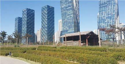 To point out a few experiences at RC, I want to first describe about the Songdo and Yonsei International Campus. 30 2014 Oct.
