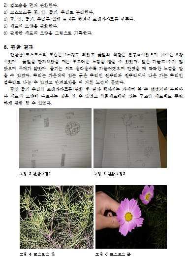 Ⅱ. 자유탐구학생산출물 1.