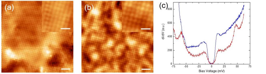 Fig. 4. (a) Topographic image of FeSe monolayer on STO with tip #1. (scale bar: 2 nm) (inset) magnified image with symmetric shape of atoms.