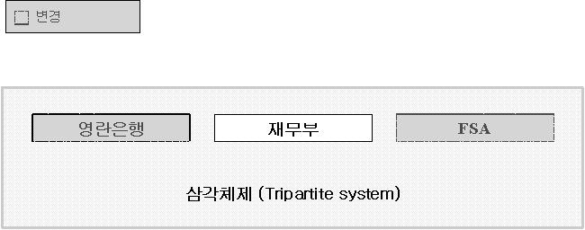 Darling 재무장관은 FSA의 Turner Review 내용을다수반영하여 FSA