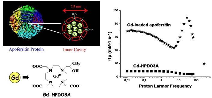 Caravan et al., Chem Rev. 1999).