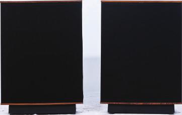 Speaker (2pcs)