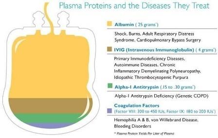 혈액분획공정 Plasma Fibrinogen (High Yield) FVIII (2IU/ml) Cryopaste FVIII (GreenMono, GreenEight), Fibrinogen CryoSUP FIX (Facnyne), Fibrin sealant(greenplast Q) Fr. I FXIII (GreenPlast Q) SUP I Fr.